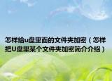 怎樣給u盤里面的文件夾加密（怎樣把U盤里某個文件夾加密簡介介紹）