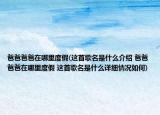 爸爸爸爸在哪里度假(這首歌名是什么介紹 爸爸爸爸在哪里度假 這首歌名是什么詳細情況如何)