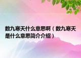 數(shù)九寒天什么意思?。〝?shù)九寒天是什么意思簡介介紹）