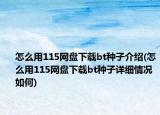 怎么用115網(wǎng)盤下載bt種子介紹(怎么用115網(wǎng)盤下載bt種子詳細情況如何)