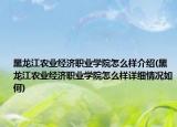 黑龍江農(nóng)業(yè)經(jīng)濟職業(yè)學(xué)院怎么樣介紹(黑龍江農(nóng)業(yè)經(jīng)濟職業(yè)學(xué)院怎么樣詳細情況如何)