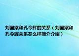 劉國梁和孔令輝的關(guān)系（劉國梁和孔令輝關(guān)系怎么樣簡介介紹）