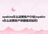 opskins怎么設(shè)置賬戶(hù)介紹(opskins怎么設(shè)置賬戶(hù)詳細(xì)情況如何)