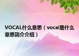 VOCAL什么意思（vocal是什么意思簡介介紹）