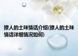 撩人的土味情話介紹(撩人的土味情話詳細(xì)情況如何)