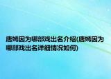 唐嫣因為哪部戲出名介紹(唐嫣因為哪部戲出名詳細情況如何)