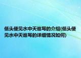 低頭便見水中天誰寫的介紹(低頭便見水中天誰寫的詳細情況如何)
