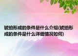 琥珀形成的條件是什么介紹(琥珀形成的條件是什么詳細(xì)情況如何)