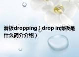 滑板dropping（drop in滑板是什么簡(jiǎn)介介紹）