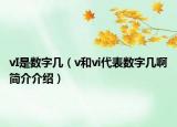 vI是數(shù)字幾（v和vi代表數(shù)字幾啊簡介介紹）