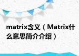 matrix含義（Matrix什么意思簡(jiǎn)介介紹）