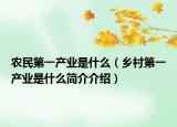 農(nóng)民第一產(chǎn)業(yè)是什么（鄉(xiāng)村第一產(chǎn)業(yè)是什么簡介介紹）