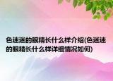 色迷迷的眼精長(zhǎng)什么樣介紹(色迷迷的眼精長(zhǎng)什么樣詳細(xì)情況如何)