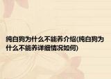 純白狗為什么不能養(yǎng)介紹(純白狗為什么不能養(yǎng)詳細(xì)情況如何)