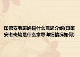 印第安老斑鳩是什么意思介紹(印第安老斑鳩是什么意思詳細(xì)情況如何)