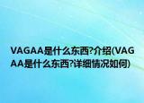 VAGAA是什么東西?介紹(VAGAA是什么東西?詳細(xì)情況如何)