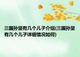 三國孫堅(jiān)有幾個兒子介紹(三國孫堅(jiān)有幾個兒子詳細(xì)情況如何)