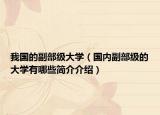 我國(guó)的副部級(jí)大學(xué)（國(guó)內(nèi)副部級(jí)的大學(xué)有哪些簡(jiǎn)介介紹）
