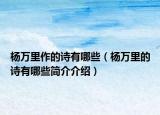楊萬里作的詩(shī)有哪些（楊萬里的詩(shī)有哪些簡(jiǎn)介介紹）
