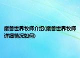 魔獸世界牧師介紹(魔獸世界牧師詳細情況如何)
