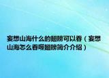 妄想山海什么的翅膀可以吞（妄想山海怎么吞噬翅膀簡介介紹）
