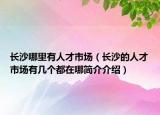 長沙哪里有人才市場（長沙的人才市場有幾個都在哪簡介介紹）
