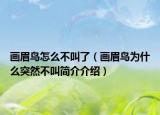 畫眉鳥怎么不叫了（畫眉鳥為什么突然不叫簡介介紹）