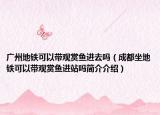 廣州地鐵可以帶觀賞魚(yú)進(jìn)去嗎（成都坐地鐵可以帶觀賞魚(yú)進(jìn)站嗎簡(jiǎn)介介紹）
