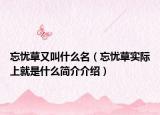 忘憂草又叫什么名（忘憂草實(shí)際上就是什么簡介介紹）