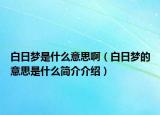 白日夢是什么意思?。ò兹諌舻囊馑际鞘裁春喗榻榻B）