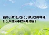 循環(huán)小數(shù)可分為（小數(shù)分為哪幾種什么叫循環(huán)小數(shù)簡(jiǎn)介介紹）