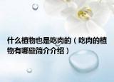 什么植物也是吃肉的（吃肉的植物有哪些簡(jiǎn)介介紹）