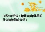 ip和tcp協(xié)議（ip是tcpip體系的什么協(xié)議簡(jiǎn)介介紹）