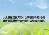 小兒感冒流鼻涕用什么藥最好介紹(小兒感冒流鼻涕用什么藥最好詳細情況如何)