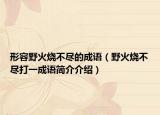 形容野火燒不盡的成語（野火燒不盡打一成語簡介介紹）