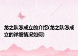 龍之隊(duì)怎成立的介紹(龍之隊(duì)怎成立的詳細(xì)情況如何)