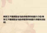 網(wǎng)球王子里越前龍馬的詳細(xì)資料和圖片介紹(網(wǎng)球王子里越前龍馬的詳細(xì)資料和圖片詳細(xì)情況如何)