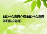 BID什么意思介紹(BID什么意思詳細情況如何)