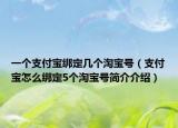 一個(gè)支付寶綁定幾個(gè)淘寶號(hào)（支付寶怎么綁定5個(gè)淘寶號(hào)簡(jiǎn)介介紹）