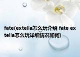 fate(extella怎么玩介紹 fate extella怎么玩詳細情況如何)