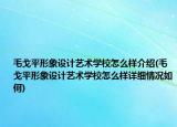 毛戈平形象設計藝術學校怎么樣介紹(毛戈平形象設計藝術學校怎么樣詳細情況如何)