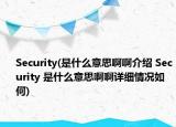Security(是什么意思啊啊介紹 Security 是什么意思啊啊詳細(xì)情況如何)