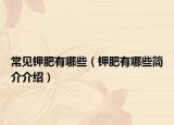 常見(jiàn)鉀肥有哪些（鉀肥有哪些簡(jiǎn)介介紹）
