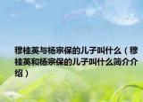 穆桂英與楊宗保的兒子叫什么（穆桂英和楊宗保的兒子叫什么簡(jiǎn)介介紹）