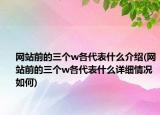 網(wǎng)站前的三個(gè)w各代表什么介紹(網(wǎng)站前的三個(gè)w各代表什么詳細(xì)情況如何)