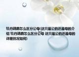 牡丹鸚鵡怎么區(qū)分公母(這只是公的還是母的介紹 牡丹鸚鵡怎么區(qū)分公母 這只是公的還是母的詳細情況如何)