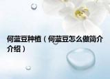 何藍(lán)豆種植（何藍(lán)豆怎么做簡(jiǎn)介介紹）