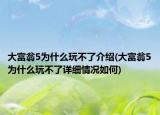 大富翁5為什么玩不了介紹(大富翁5為什么玩不了詳細(xì)情況如何)