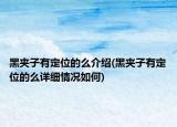 黑夾子有定位的么介紹(黑夾子有定位的么詳細(xì)情況如何)