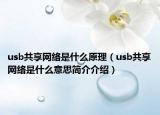 usb共享網(wǎng)絡(luò)是什么原理（usb共享網(wǎng)絡(luò)是什么意思簡介介紹）